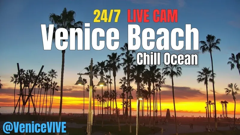 Venice Beach · Ocean & Boardwalk provider camera preview